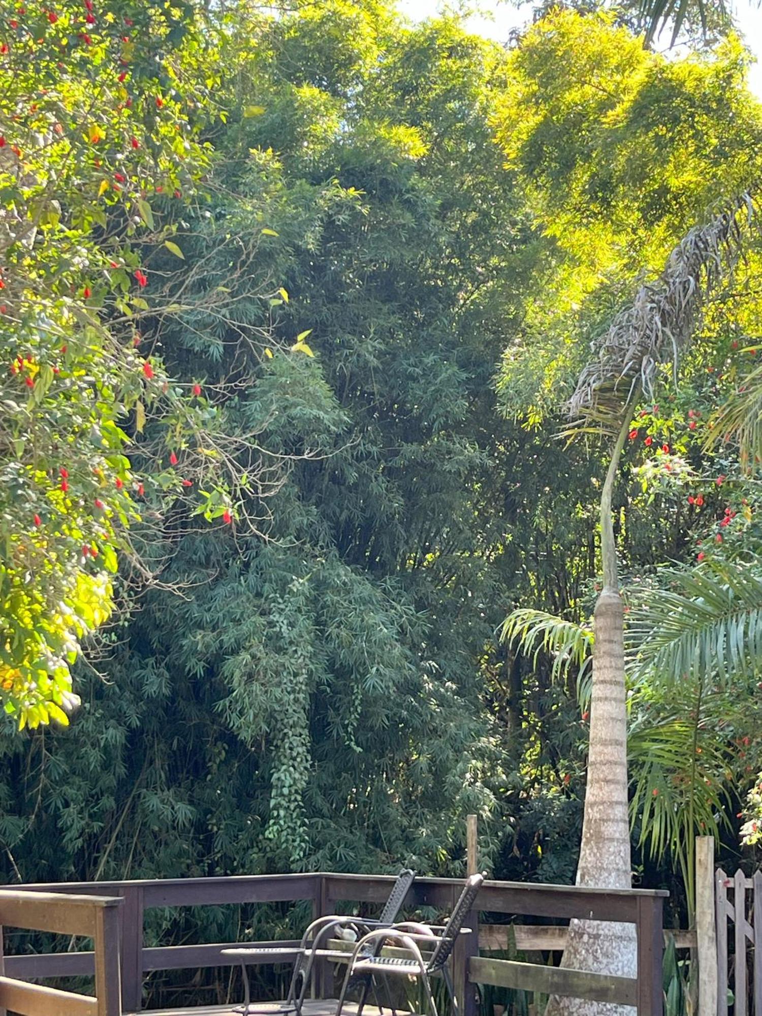 Casa Di Maria 4 Quartos A 500M Centro - Sauna, Piscina, Fogao A Lenha, Churrasqueira - Acesso Privativo Ao Ao Rio - Ideal Para Familias Nova Friburgo Exterior foto